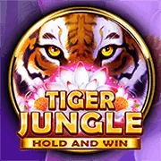 Cơ chế hoạt động của jackpot tích lũy fbc8